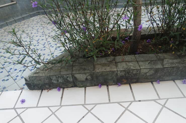 تصویر 3 از سرامیک کف حیاط خلوت الهام‌ گرفته از نور طبیعی